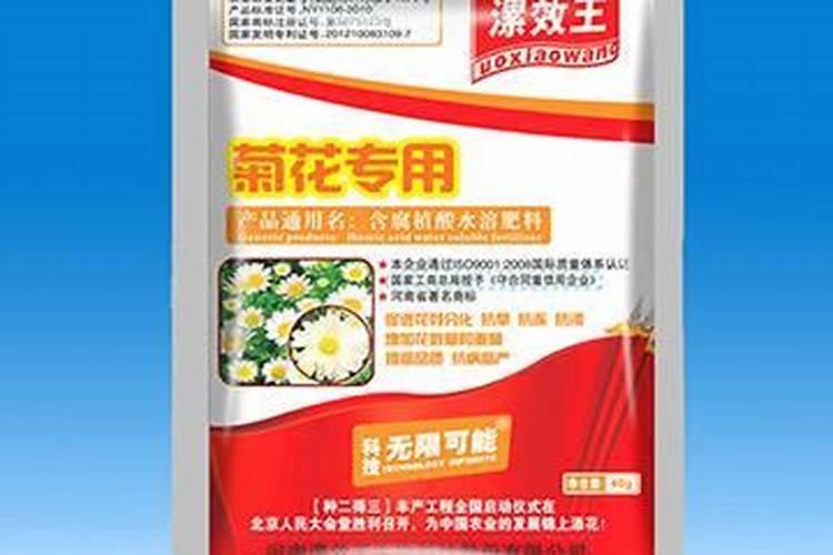 菊花怎么施肥