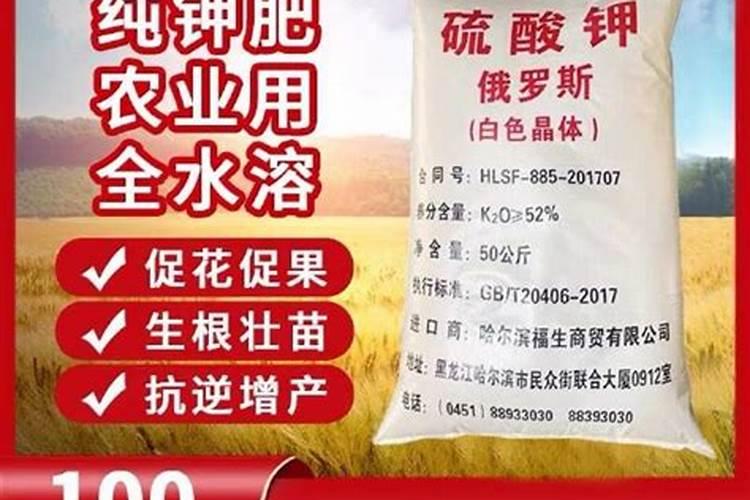 白醋怎样使用才是正确的杀虫方式