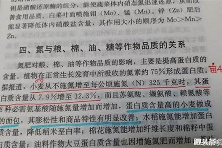 卷柏施什么肥最好