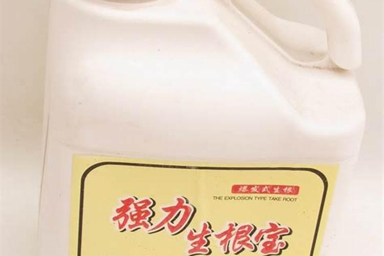 玫瑰花怎么施肥,玫瑰花施氮磷钾肥最为合适