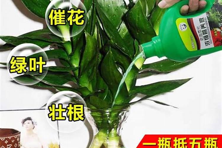 植物营养液怎么用