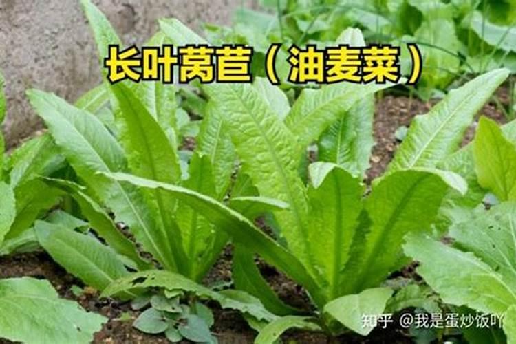 根多多生根水溶肥使用方法,能和尿素一起使用吗