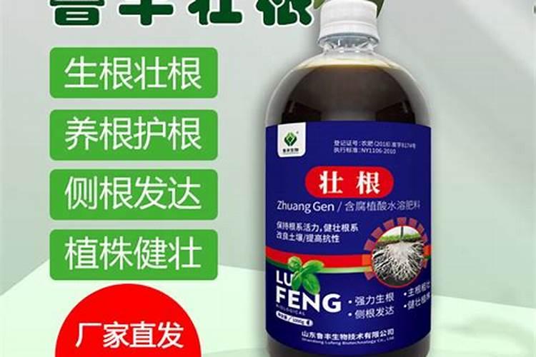 全国最大腐植酸生产厂家