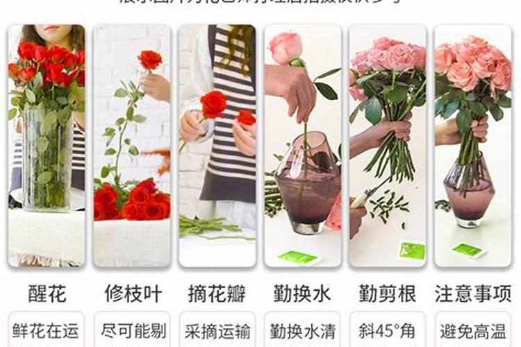 帮我看看这个肥料适合玫瑰不