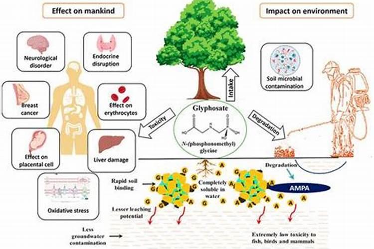 兴发集团,化工班有哪些