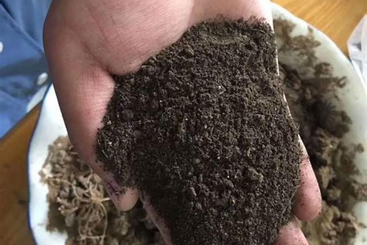 玉米发酵做肥料