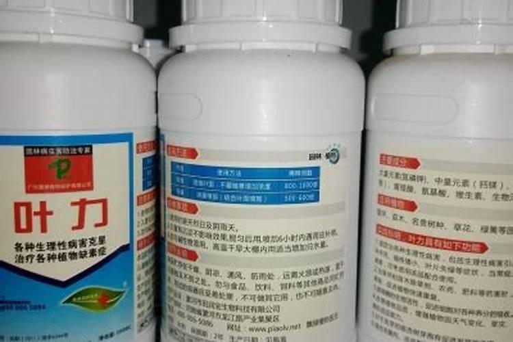 什么叶面肥最好 叶面肥哪个好