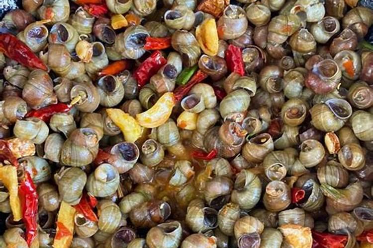 蜗牛壳可以当肥料吗？