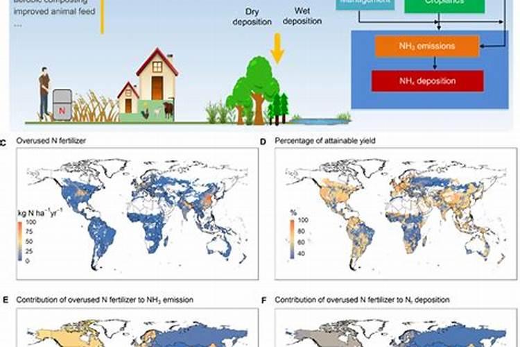 尿素撒施在田里,下了场大雨,会不会流失啊