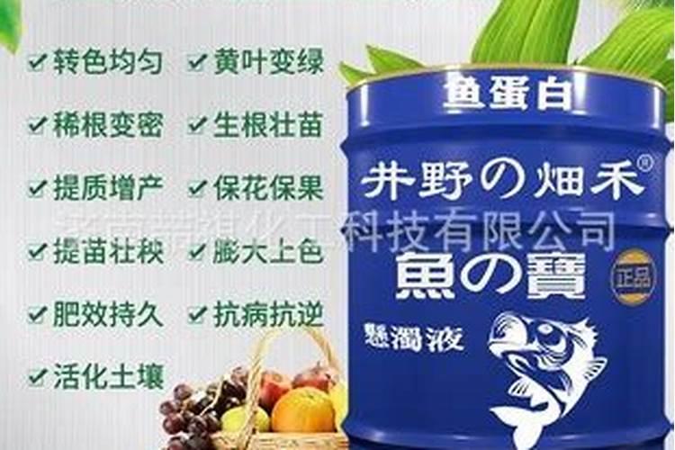 鱼蛋白原浆与鱼蛋白原粉用作植物肥料哪个更好？