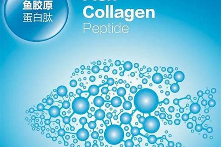 鱼蛋白肥料的功效与作用