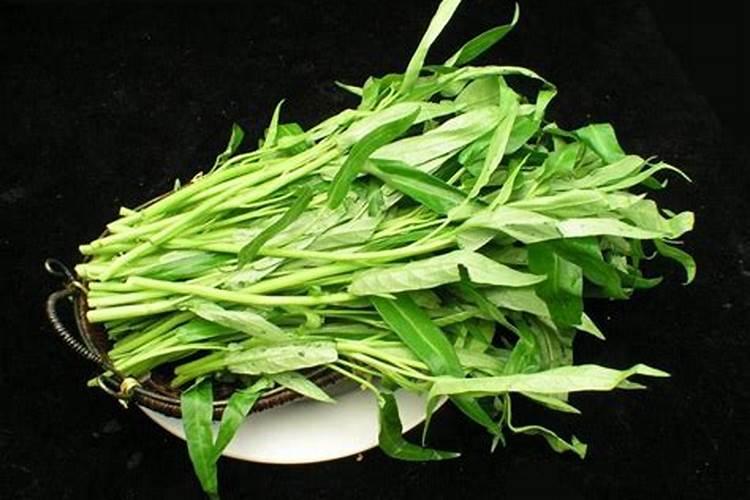 6月份露天适合种植什么蔬菜