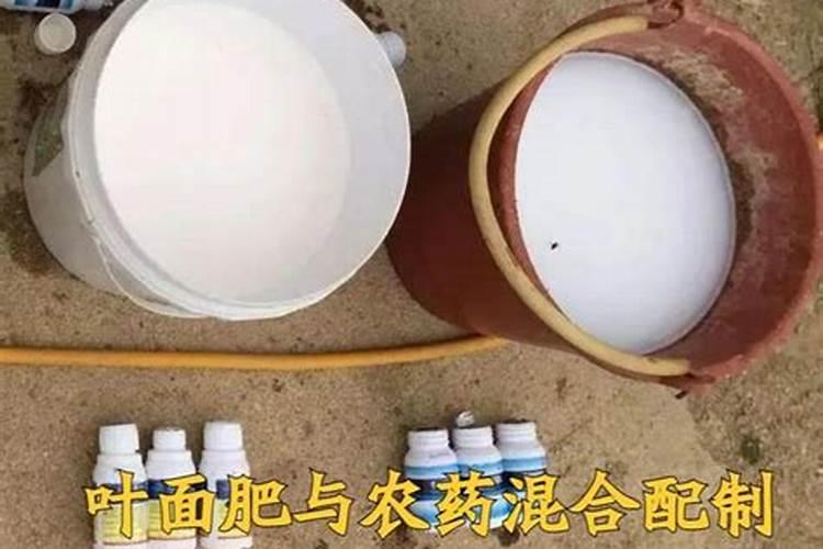 叶面肥能和杀虫剂农药一起用吗