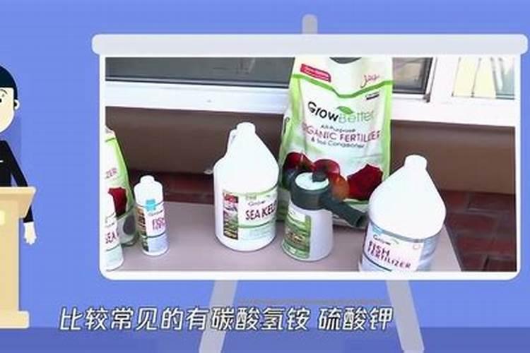 兰花浇什么肥料合适