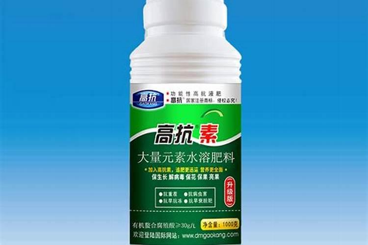 烟灰适合养什么花