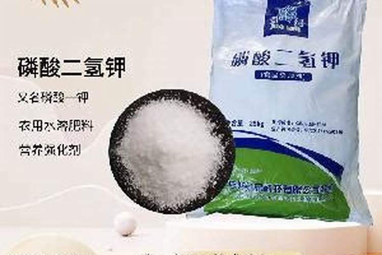 种独头蒜的方法