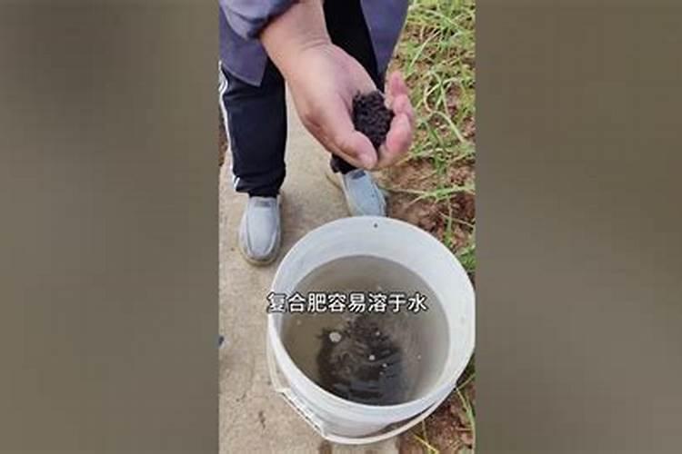 用复合肥浇花多少倍几天一次