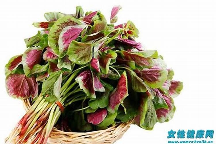 大蒜管理开春浇第一遍水在几月份？