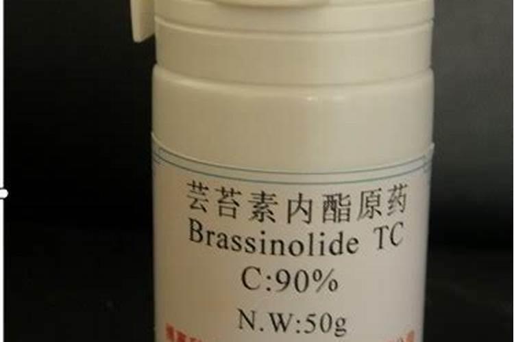 柑桔施钾肥最佳时间 正确使用方法有哪些