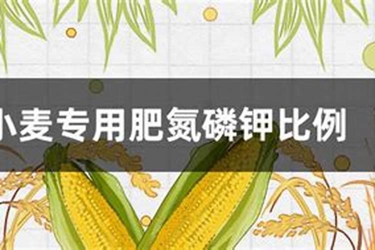 小麦专用肥配方19165合理吗