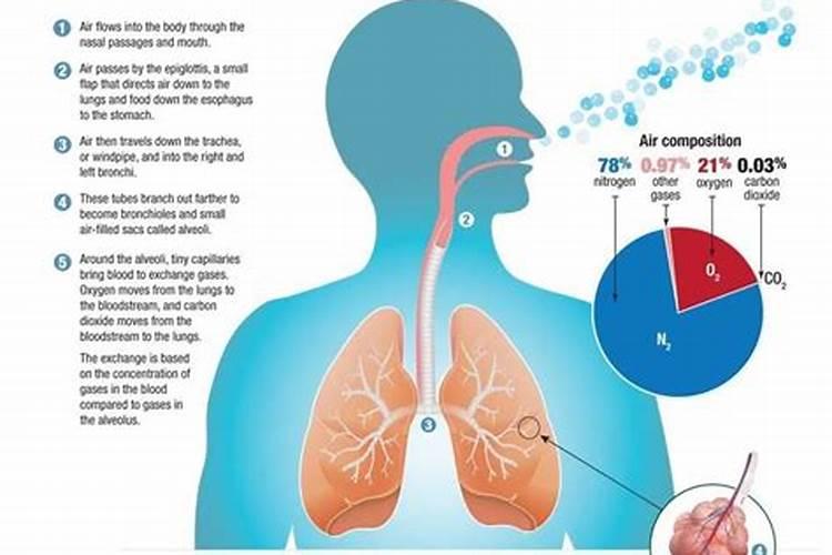 化肥气味对人体有害吗？