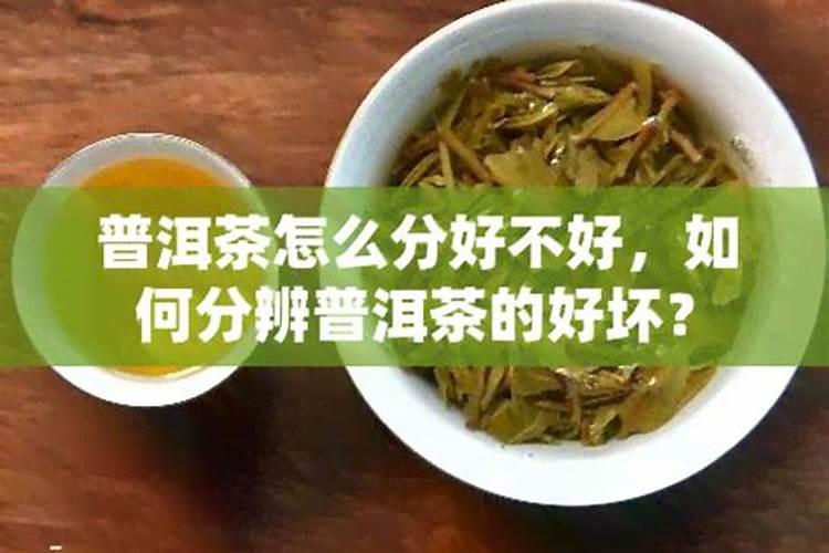 普洱茶能浇花吗