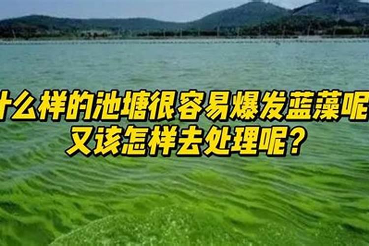 蓝藻爆发的原因和解决方法(简析蓝藻暴发成因和处理方法:让人见之心烦...