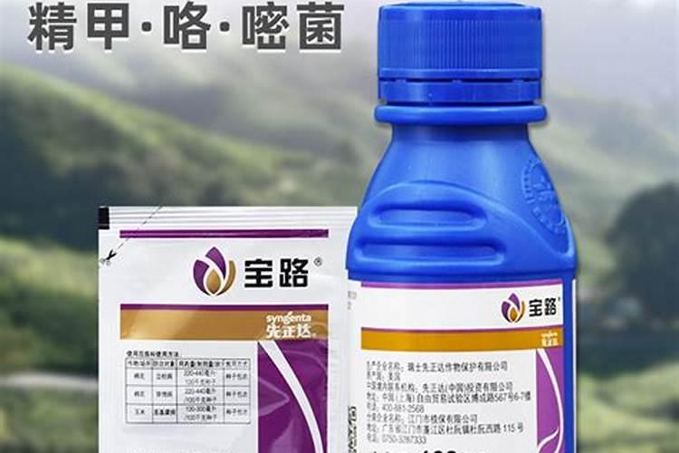 70%甲托,用在大棚黄瓜,西红柿,丝瓜,西葫芦上治疗灰霉,白粉病可以...
