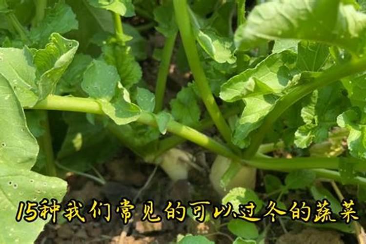 复合肥可以当水溶肥使用吗