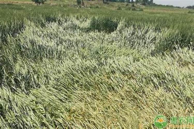 水溶性蛋白质概念