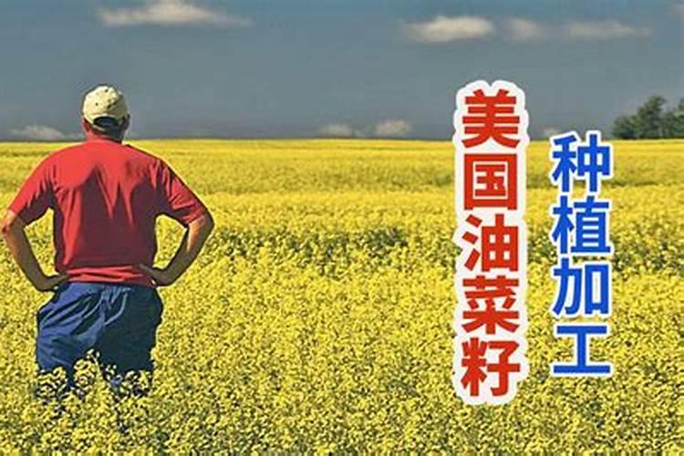 想问油菜籽能做肥料吗