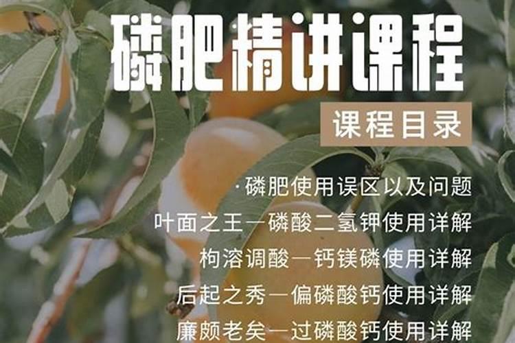 草莓施肥