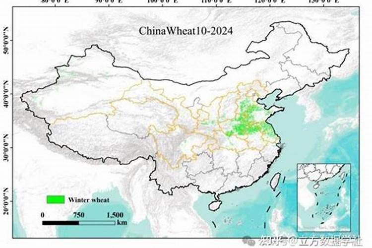 现在干玉米价格多少钱一斤？2021年10月玉米价格最新行情预测