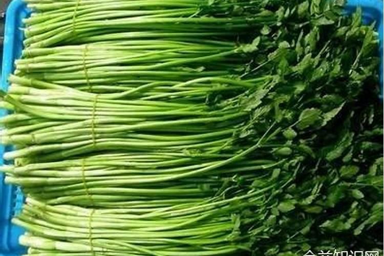 芹菜间苗后冲什么肥料
