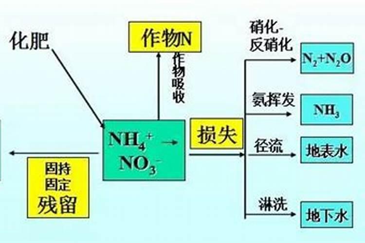 请问什麼态的氮肥利於植物？铵跟氨跟胺,有甚麼差别