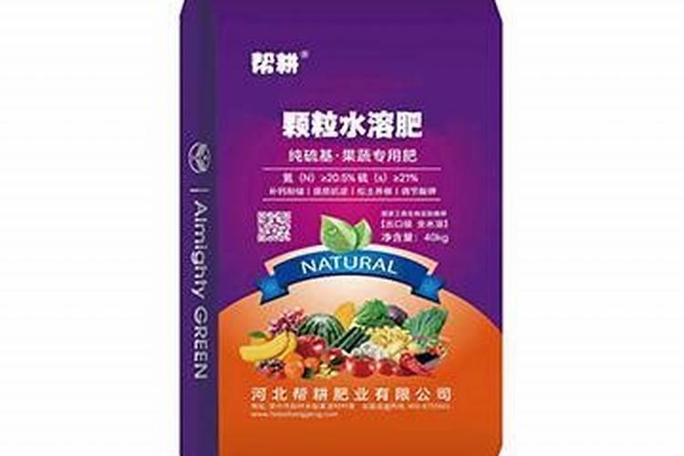 数字乡村概念股一览表,数字乡村股票龙头股有哪些？