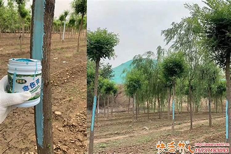 202020水溶肥配方计算(大量元素水溶肥配方表)