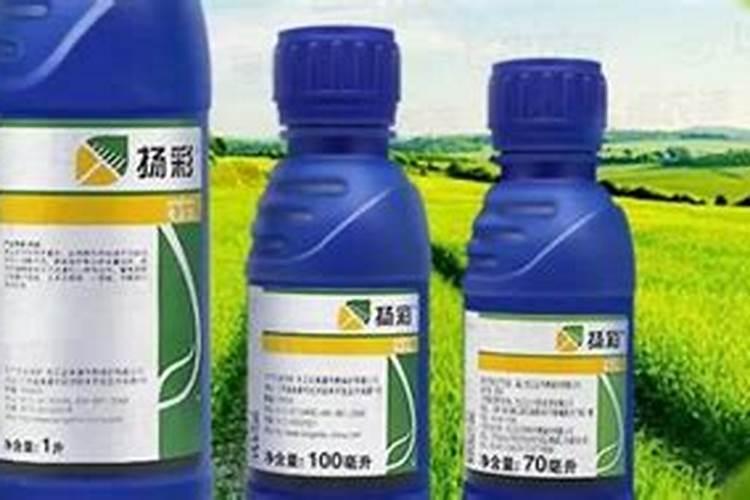 杨彩杀菌剂的功效和作用