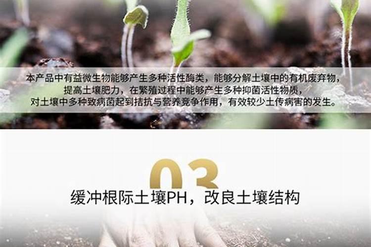 常见的三种复合肥