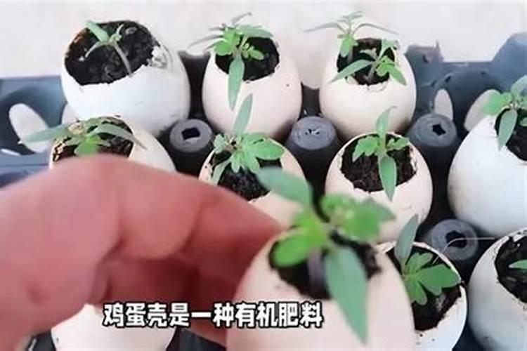 自制水溶肥配比表,水溶肥如何使用