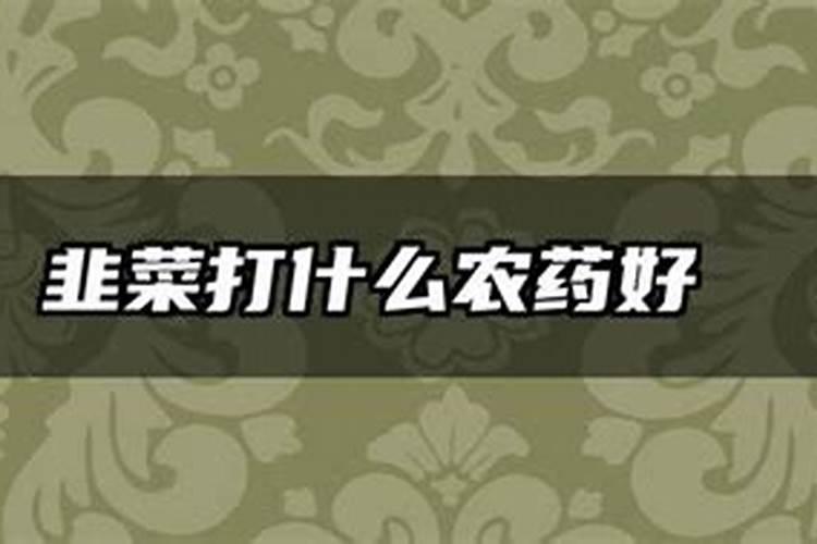 怎样种植韭菜兰,隔几天浇一次水？