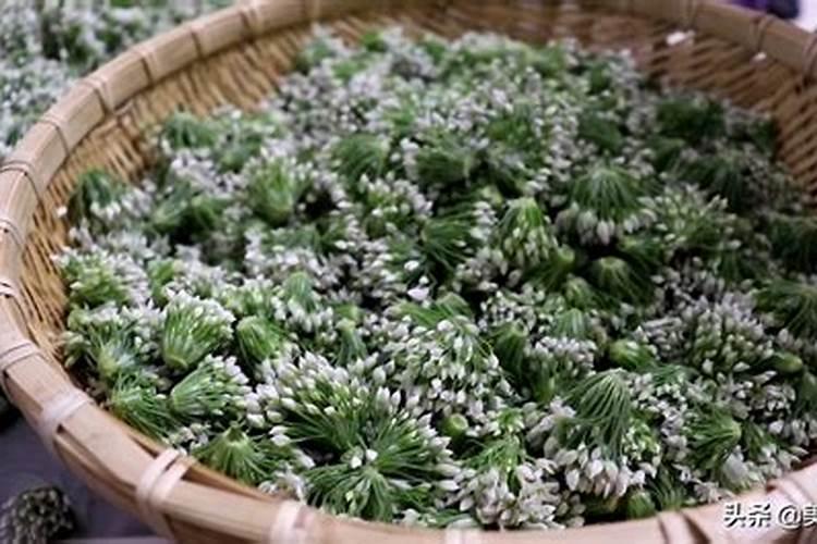大棚韭菜长的慢用何种叶面肥好