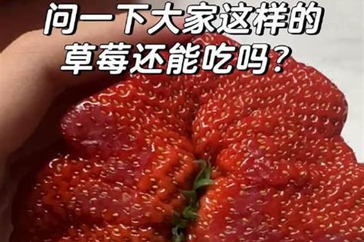 大棚种植草莓时,该如何去合理施肥呢？