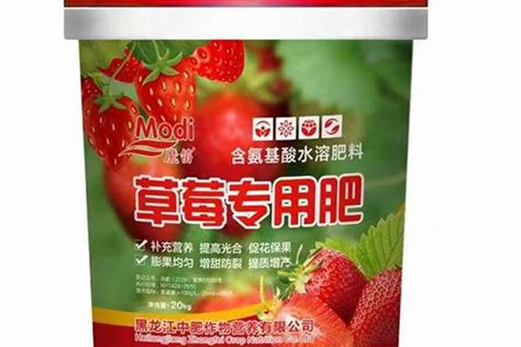 水培草莓的专用肥配方