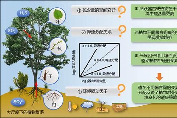 叶面肥料一般在什么时候使用