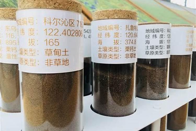 怎样才能合理施用磷肥
