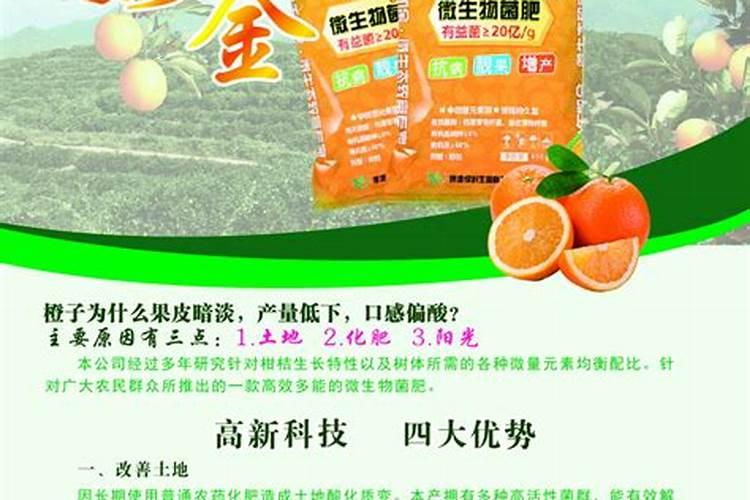 月季施肥过多症状 月季施肥注意事项