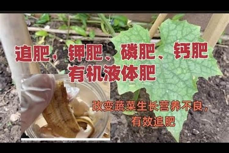 虾塘怎样用磷肥肥水