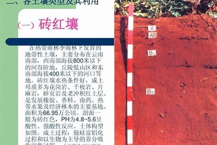 磷酸二氢钾可以和硼钼锌肥一起配吗？