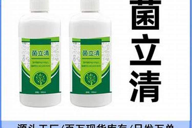 草莓叶子边缘发黑还能救么